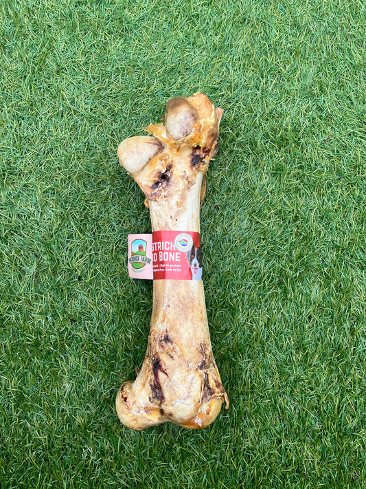 Ostrich Bone